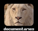 documentaries