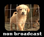 non broadcast